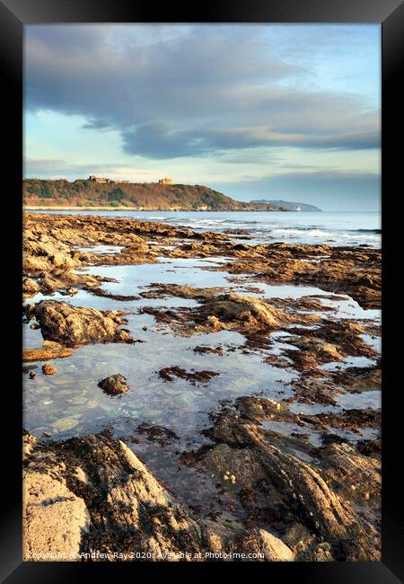 Rock Pool at Falmouth Framed Print by Andrew Ray
