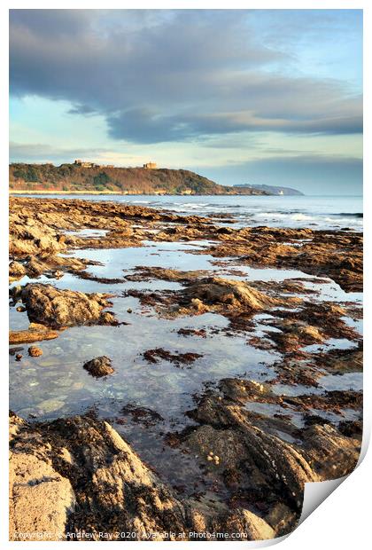 Rock Pool at Falmouth Print by Andrew Ray