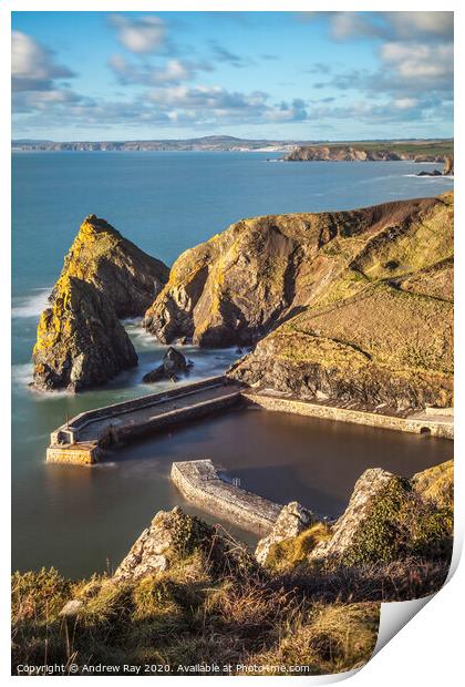 Mullion Harbour Print by Andrew Ray