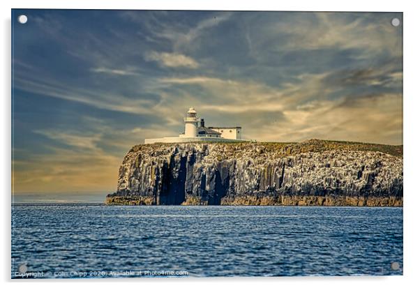 Inner Farne Lighthouse Acrylic by Colin Chipp