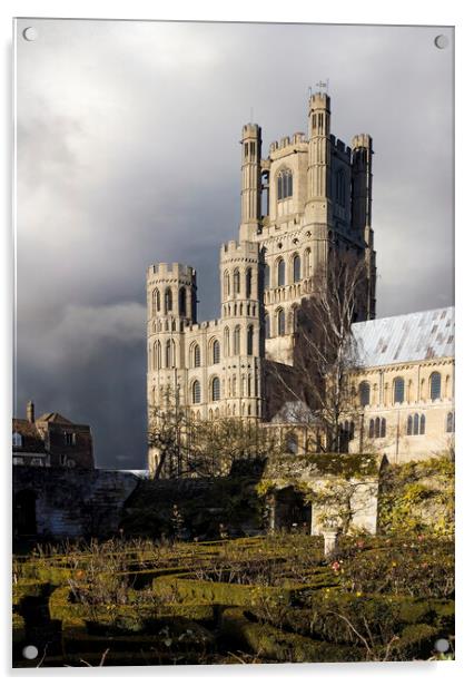 Ely Cathedral  Acrylic by Kelly Bailey