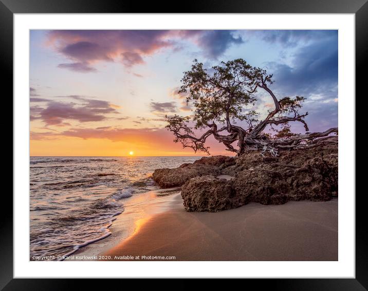 Lone Tree at sunset, Treasure Beach, Jamaica Framed Mounted Print by Karol Kozlowski