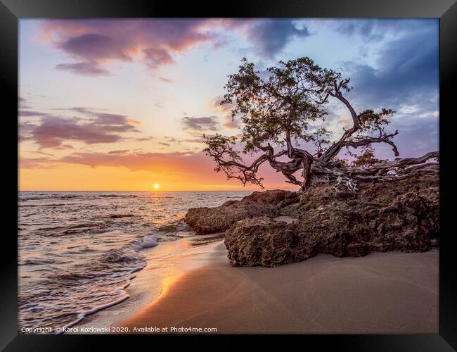 Lone Tree at sunset, Treasure Beach, Jamaica Framed Print by Karol Kozlowski
