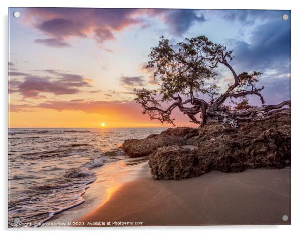 Lone Tree at sunset, Treasure Beach, Jamaica Acrylic by Karol Kozlowski
