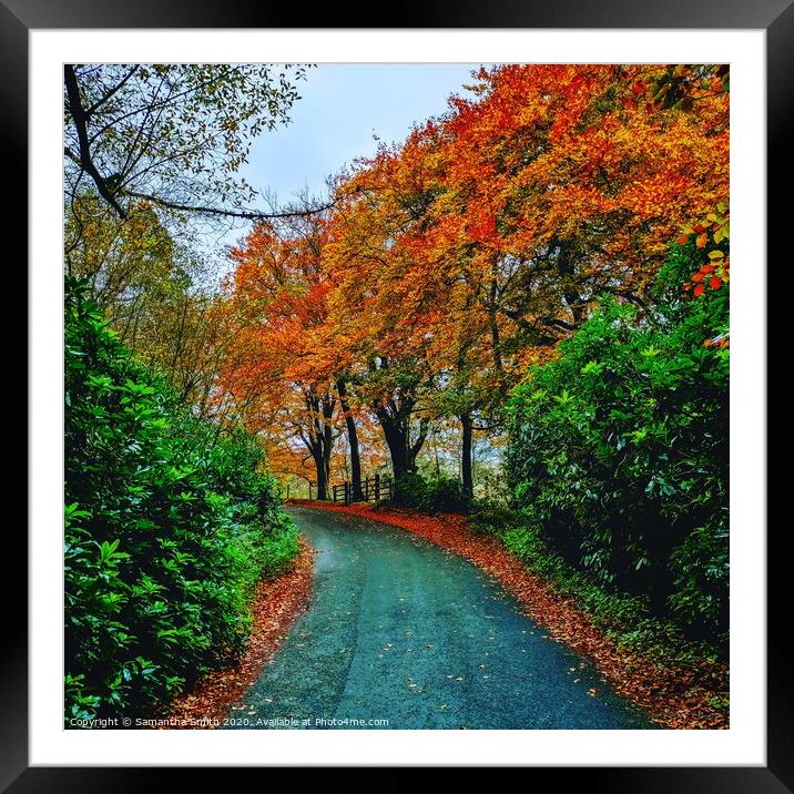 Autumnal trees at Wildboreclough Framed Mounted Print by Samantha Smith