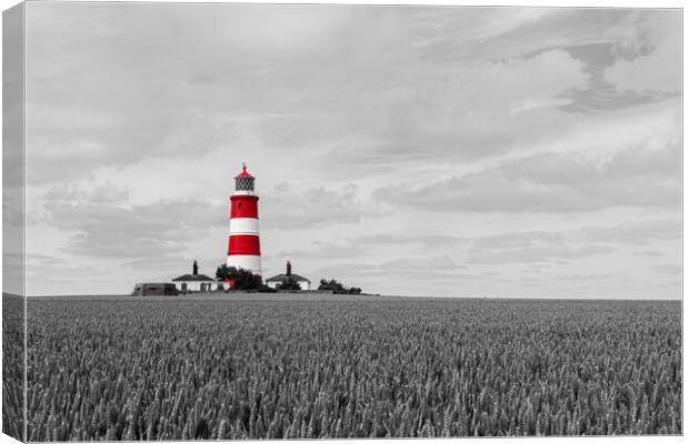 Moody Monochrome Lighthouse Canvas Print by Kevin Snelling