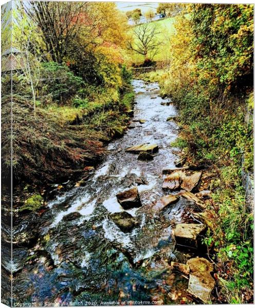 Clough Brook on Autumn Morning  Canvas Print by Samantha Smith