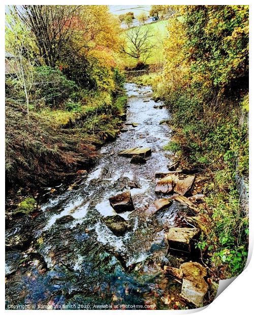 Clough Brook on Autumn Morning  Print by Samantha Smith