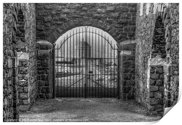 Mussenden Temple at Downhill Print by David McFarland