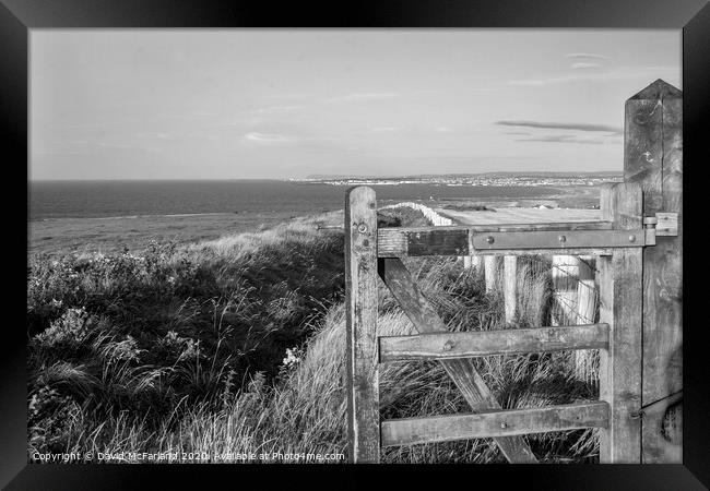 View from Mussenden Framed Print by David McFarland