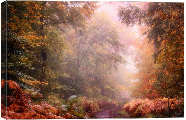 Autumn Foggy Woods Canvas Print by Ceri Jones