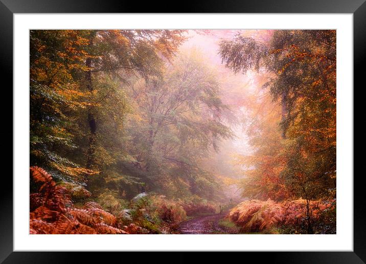 Autumn Foggy Woods Framed Mounted Print by Ceri Jones