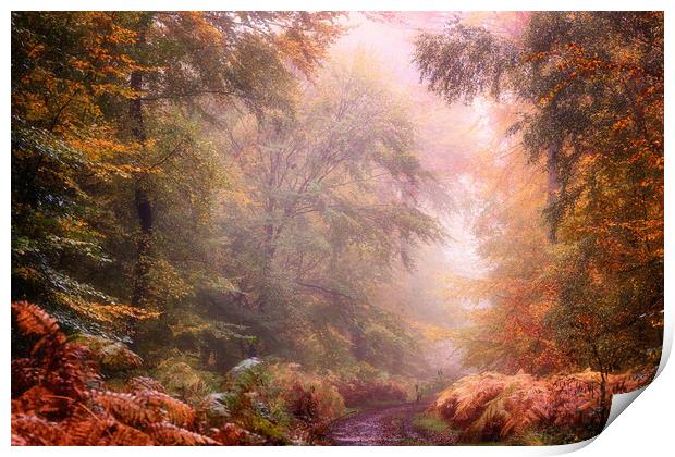 Autumn Foggy Woods Print by Ceri Jones