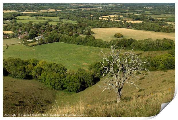 South Downs Panorama Print by Howard Corlett