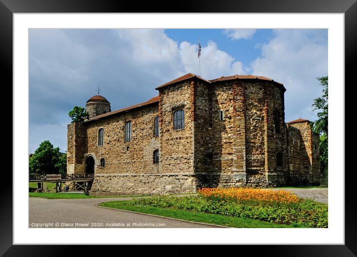 Colchester Castle Essex Framed Mounted Print by Diana Mower