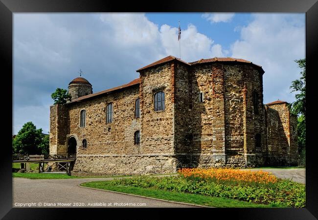 Colchester Castle Essex Framed Print by Diana Mower