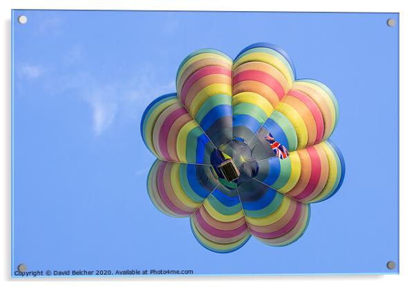 Hot air balloon Acrylic by David Belcher