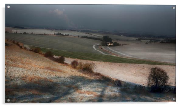 Winter Fields Acrylic by Ceri Jones