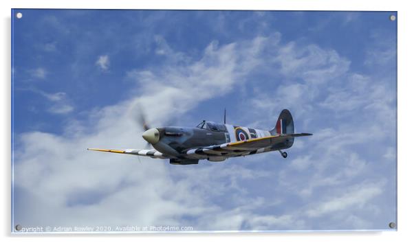 Spitfire in D-Day Colours Acrylic by Adrian Rowley