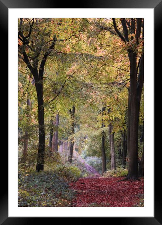 Autumn Bridleway Framed Mounted Print by Ceri Jones