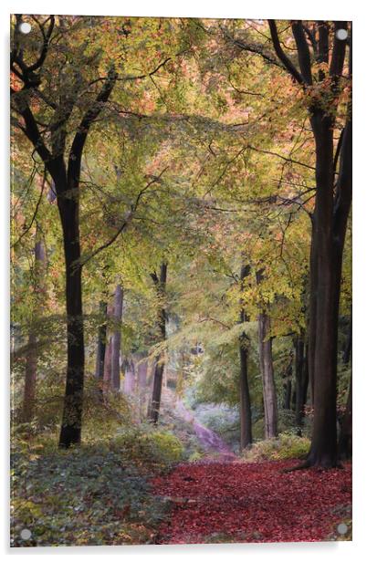 Autumn Bridleway Acrylic by Ceri Jones