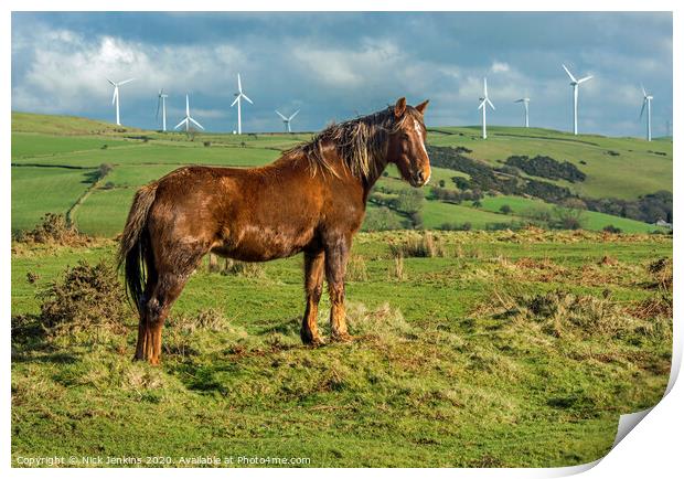 Brown Horse with backdrop of wind turbines south Wales  Print by Nick Jenkins