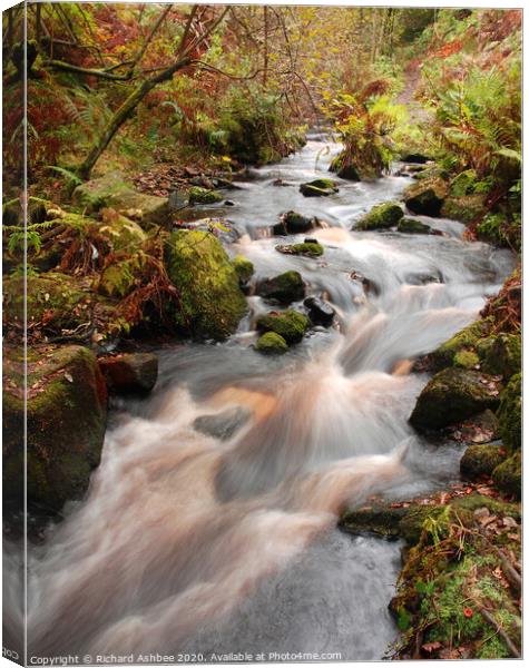 Babbling stream running through woodland Canvas Print by Richard Ashbee