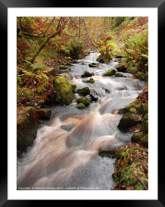 Babbling stream running through woodland Framed Mounted Print by Richard Ashbee