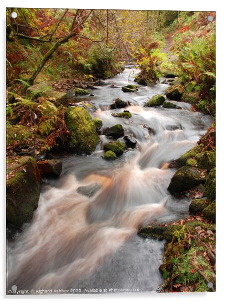 Babbling stream running through woodland Acrylic by Richard Ashbee