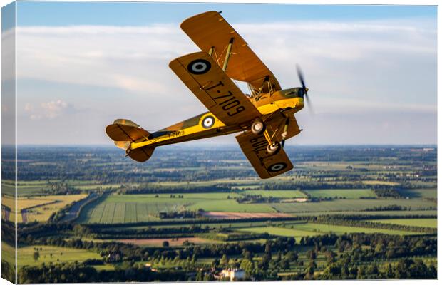 Tiger Moth break Canvas Print by Oxon Images