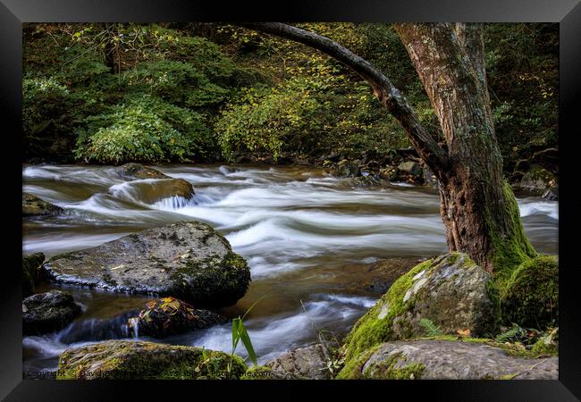 East Lyn River Framed Print by David Belcher