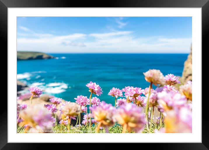 Sea Pinks look out to sea Framed Mounted Print by Pete Bresser