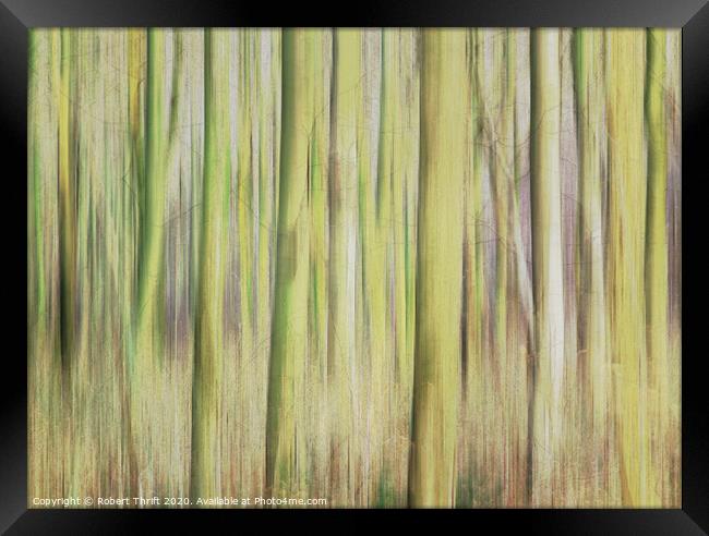Whitwell Wood abstract Framed Print by Robert Thrift
