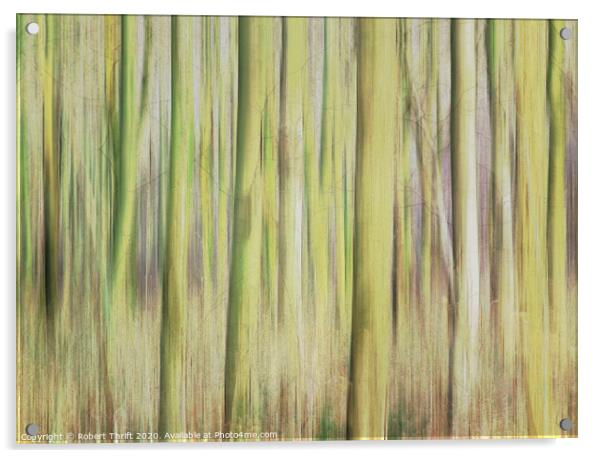 Whitwell Wood abstract Acrylic by Robert Thrift