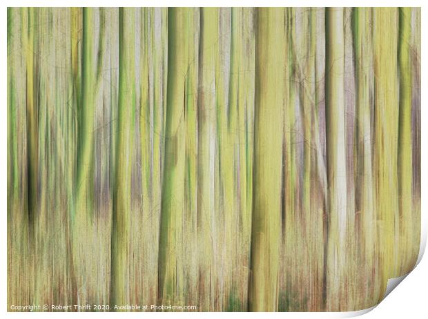 Whitwell Wood abstract Print by Robert Thrift