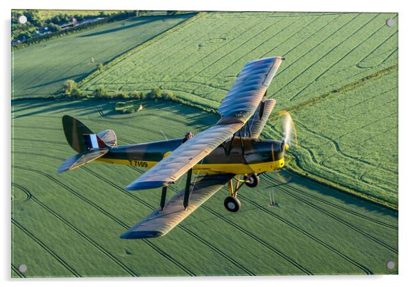 Tiger Moth Air to Air Acrylic by Oxon Images