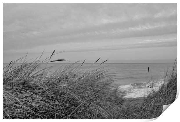 In the sand dunes on the North Norfolk coast bw Print by Chris Yaxley