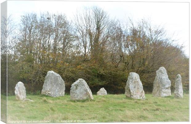 Duloe Stone Circle. Cornwall. Canvas Print by Neil Mottershead