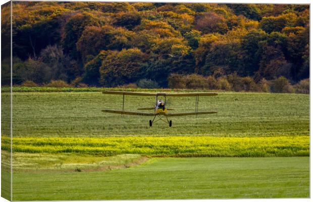 Autumn Tiger Moth Canvas Print by Oxon Images