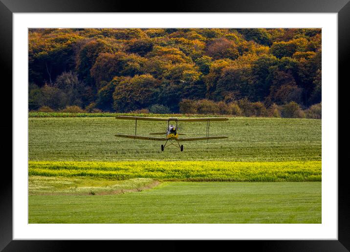 Autumn Tiger Moth Framed Mounted Print by Oxon Images
