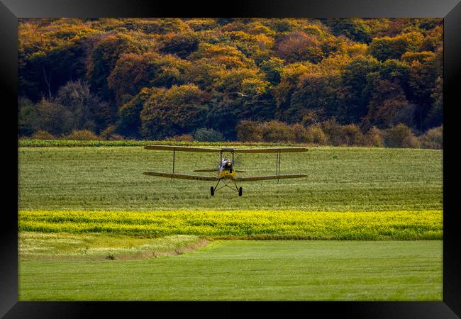 Autumn Tiger Moth Framed Print by Oxon Images