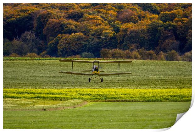 Autumn Tiger Moth Print by Oxon Images
