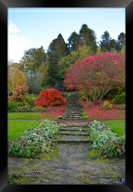 Morpeth in the autumn  Framed Print by Aimie Burley