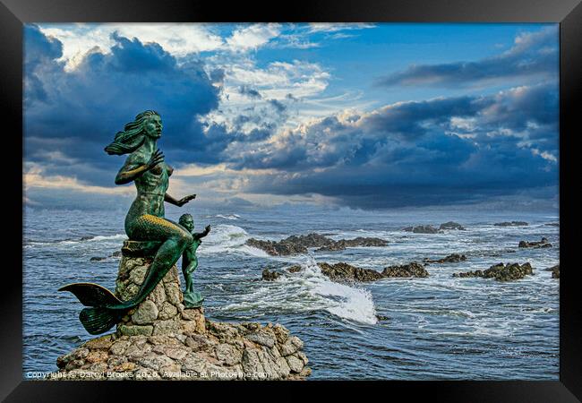 Mermaid in Mazatlan Framed Print by Darryl Brooks