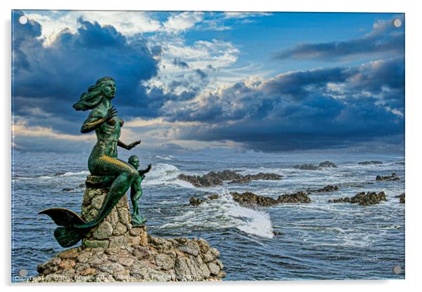Mermaid in Mazatlan Acrylic by Darryl Brooks
