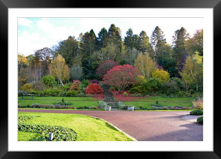 Morpeth, Northumberland in Autumn  Framed Mounted Print by Aimie Burley