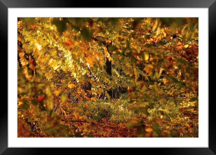 autumn Colour Framed Mounted Print by Simon Johnson