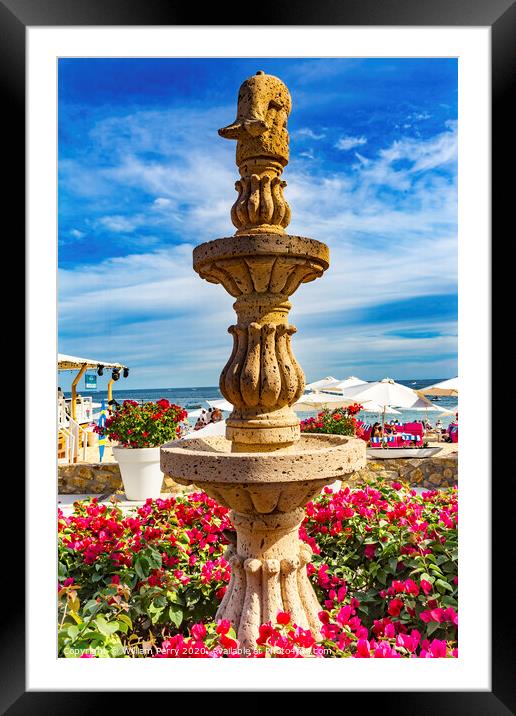 Fountain Pink Bougainvillea Beach Restaurants Cabo San Lucas Mexico Framed Mounted Print by William Perry