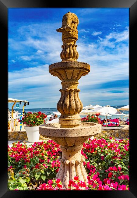 Fountain Pink Bougainvillea Beach Restaurants Cabo San Lucas Mexico Framed Print by William Perry