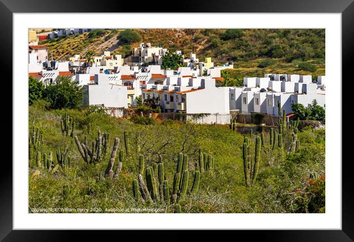 Mexican Village Cardon Cactus Sonoran Desert  Baja Los Cabos Mexico Framed Mounted Print by William Perry